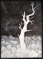 encre blanche_0005